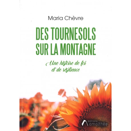 Des tournesols sur la montagne