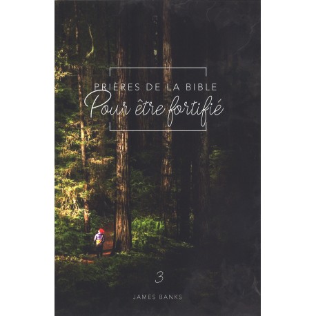 Prières de la Bible - Pour être fortifié (Vol. 3)