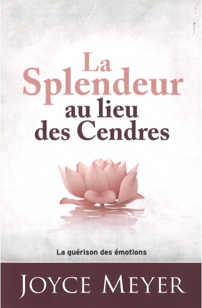 Splendeur au lieu des cendres, La