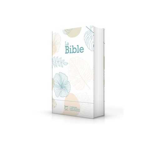 Bible Segond 21 gros caractères, illustrée, fleurie, rose, rigide -  Librairie Vie et Santé