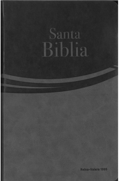 Santa Biblia letra grande