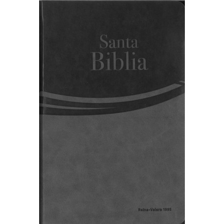 Santa Biblia letra grande