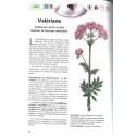 Santé par les plantes médicinales