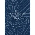 Grâce merveilleuse de Dieu, La