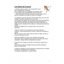 Programme d'animation : Les fables de la jungle