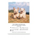 Calendrier mini "Joie" 2026