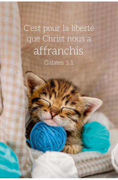 Carte calendrier "Chat" 2026