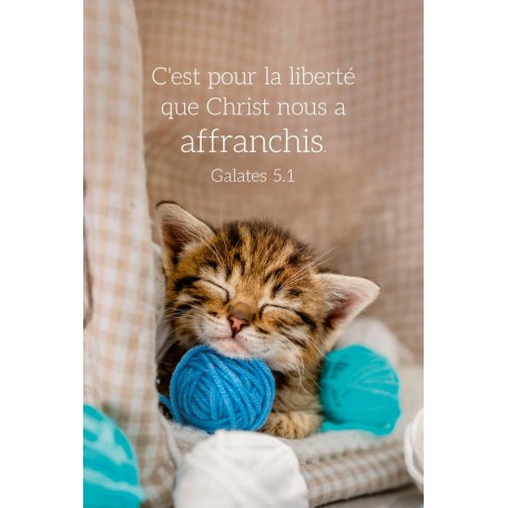 Carte calendrier "Chat" 2026