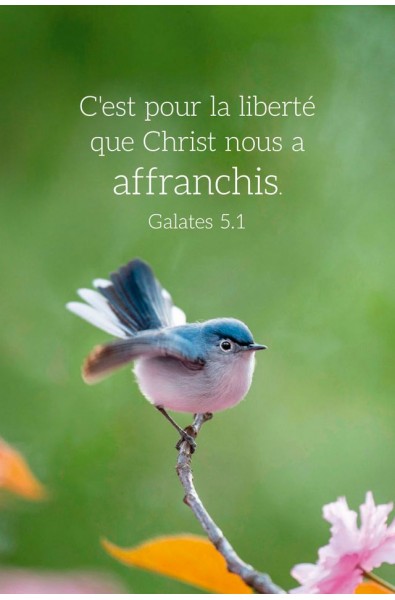Carte calendrier "oiseau" 2026