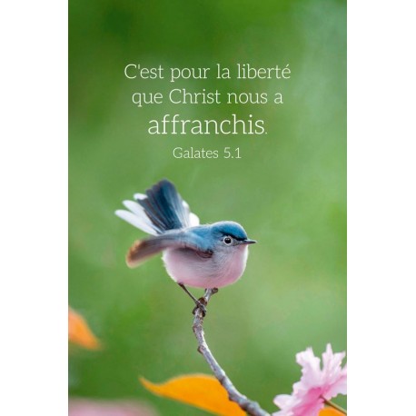 Carte calendrier "oiseau" 2026