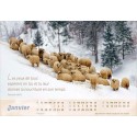 Calendrier "Le bon berger" 2026