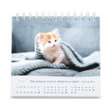 Calendrier "Les chats" 202