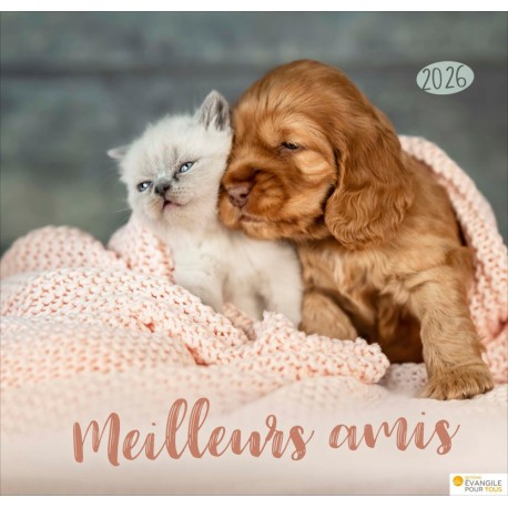 Calendrier à suspendre "Meilleurs amis" 2026