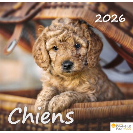 Calendrier "Chiens" 2026