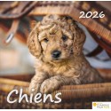 Calendrier "Chiens" 2026
