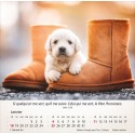 Calendrier "Chiens" 2026