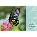 Calendrier "Perles précieuses" 2026