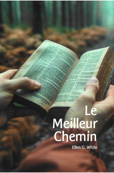 Meilleur chemin, Le