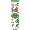 Marque-pages Jungle à colorier