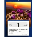 Calendrier à effeuiller "Paix vous soit" 2026
