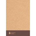 Bible S21 gros caractères semi rigide brun chiné