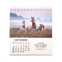 Calendrier "Petits amis" 2027