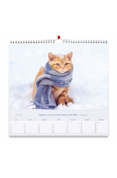 Calendrier "Les chats" 2027