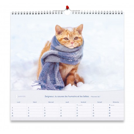 Calendrier "Les chats" 2027