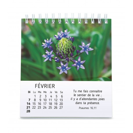 Calendrier "Floralies" 2027