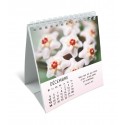 Calendrier "Floralies" 2027