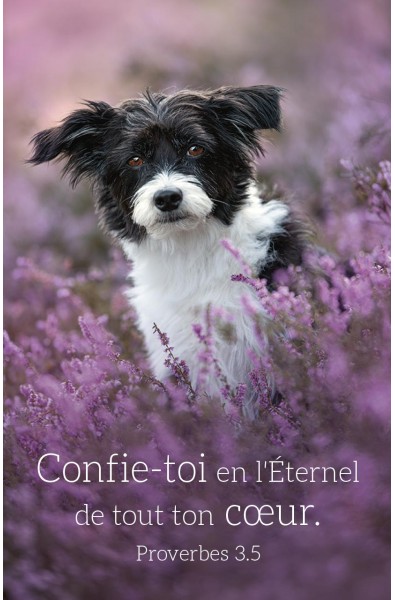 Carte calendrier "Chien" 2027