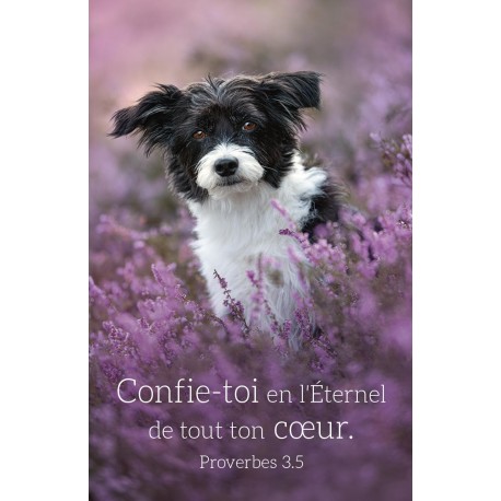 Carte calendrier "Chien" 2027