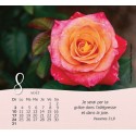 Calendrier "Roses"  2027 (pt format)