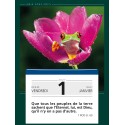 Calendrier à effeuiller "Paix vous soit" 2027