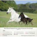 Calendrier "Chevaux" 2027