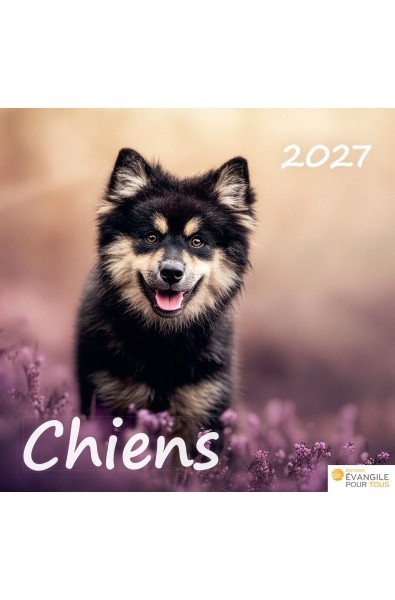 Calendrier "Chiens" 2027