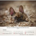 Calendrier "Chiens" 2027