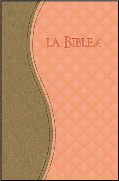 Bible Segond 21, duo brun-saumon, ferm. éclair, tr. or