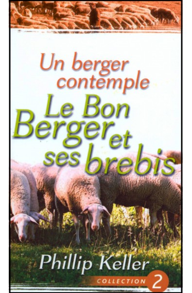 Berger contemple, Un : Le bon berger et ses brebis