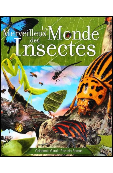 Merveilleux monde des insectes, Le