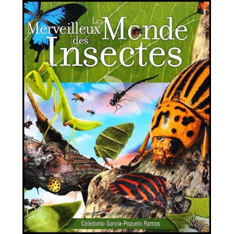 Merveilleux monde des insectes, Le