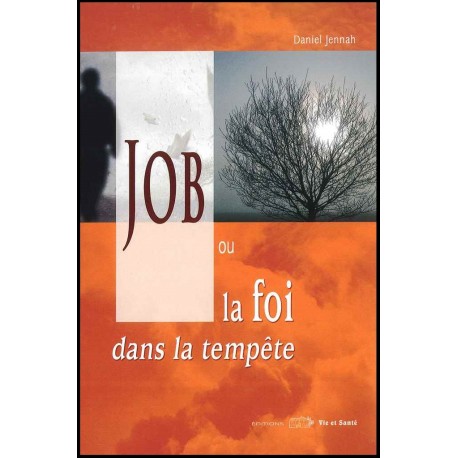 Job ou la foi dans la tempête