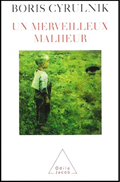 Merveilleux malheur, Un