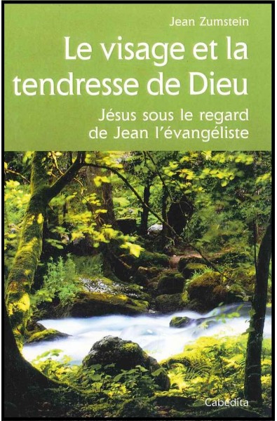 Visage et la tendresse de Dieu, Le