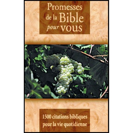 Promesses de la Bible pour vous