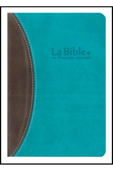 Bible FC, duotone, brun-turquoise