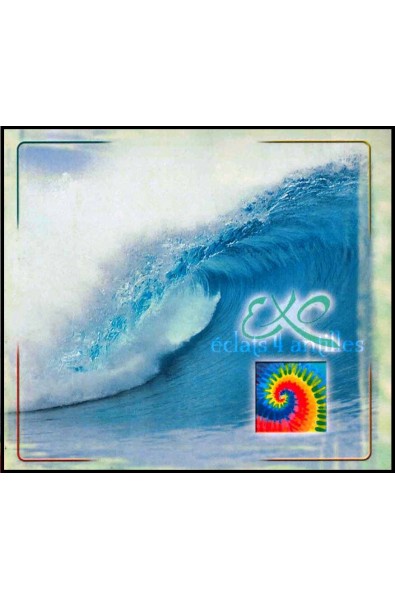 CD - Exo - Eclats 4 - Antilles