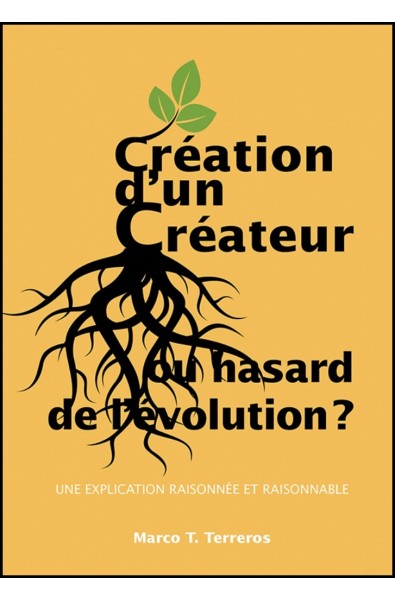 Création d'un Créateur ou hasard de l'évolution