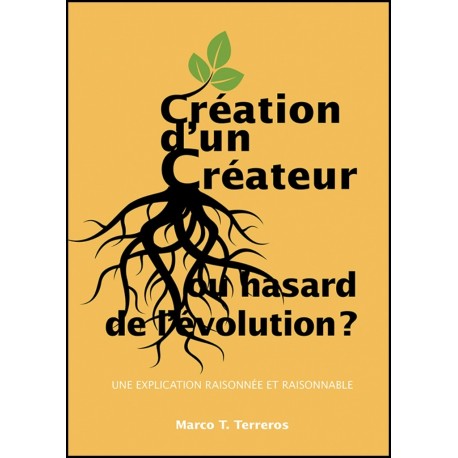 Création d'un Créateur ou hasard de l'évolution